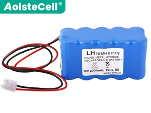 Biocare ECG-101A vaihtoakuista