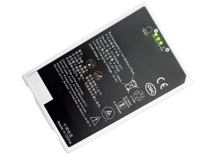GE 03-50049-001(4INR19/66-2) vaihtoakuista