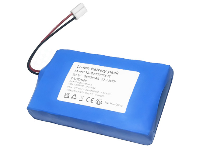 Rowenta SS-2230003873 Imuri vara-akku